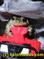 /home//u458753944/public_html/sourcegallery//McKaig Nature Center/2020-10-11/PA110734.JPG